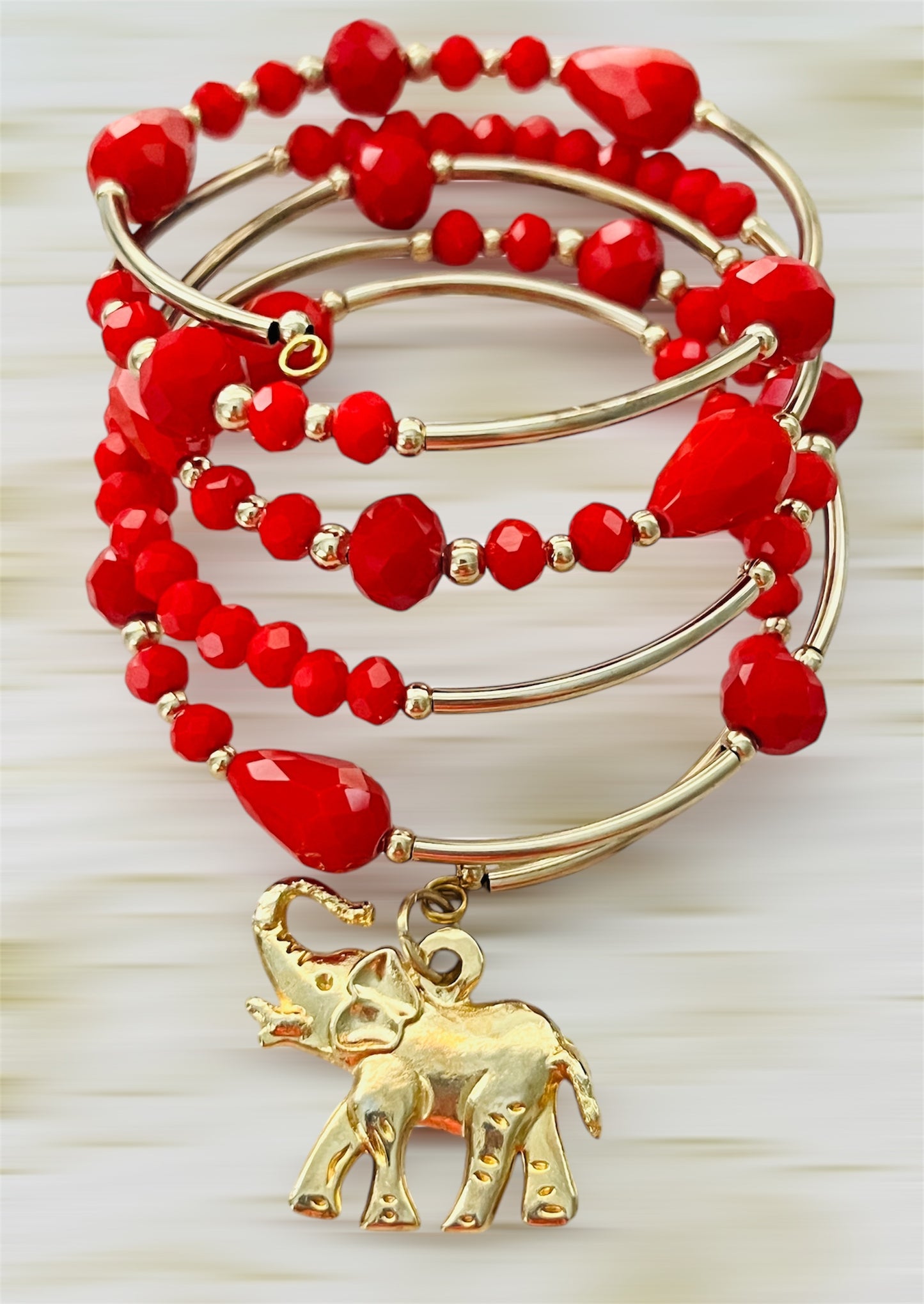 Espiral con elefante 🐘 / Chapa de Oro 14K